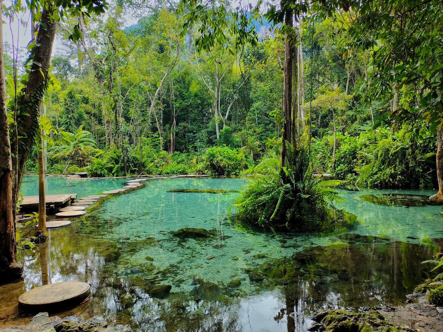 ป่าต้นน้ำบ้านน้ำราด 🛶พายเรือลัดเลาะกลางป่า ชมน้ำใสแจ๋วเหมือนกระจก แนะนำมาช่วง 07.00 น. จะได้ฟีลสงบ น้ำใสกริ๊บก่อนคนเยอะ💦