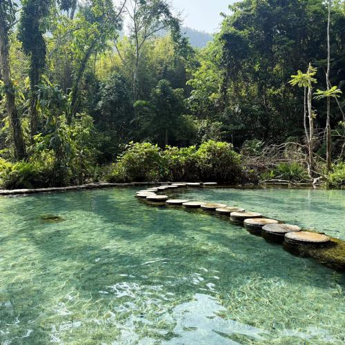 🌳 เที่ยวสุราษฎร์ฯ ให้ชุ่มฉ่ำใจ ต้องไม่พลาดป่าต้นน้ำบ้านน้ำราด💦 🌎